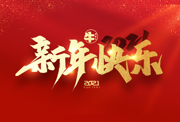 麗水市威儀自動(dòng)化技術(shù)有限公司祝全國(guó)人民2021年新年快樂(lè)！